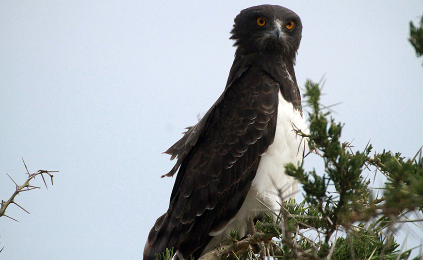 Your Next Travel Destination