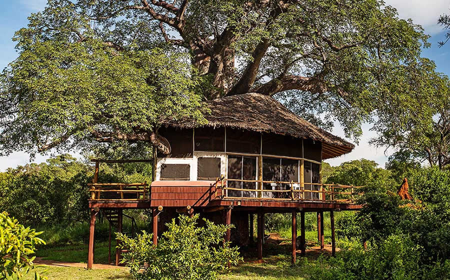Tarangire Treetops