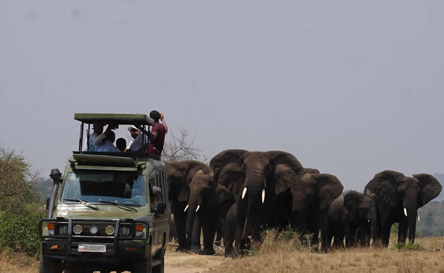 Akagera National Park