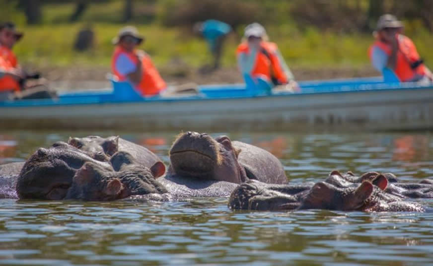 Lake Naivasha