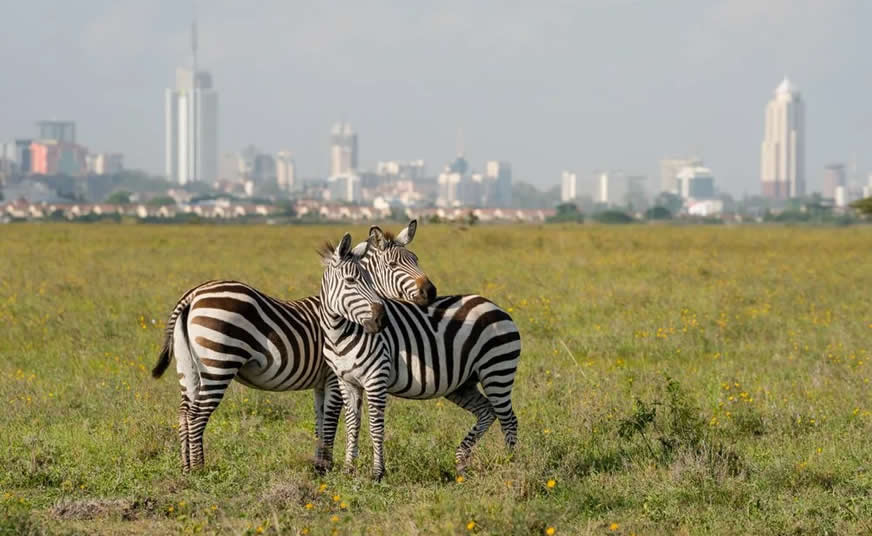 Nairobi National Park