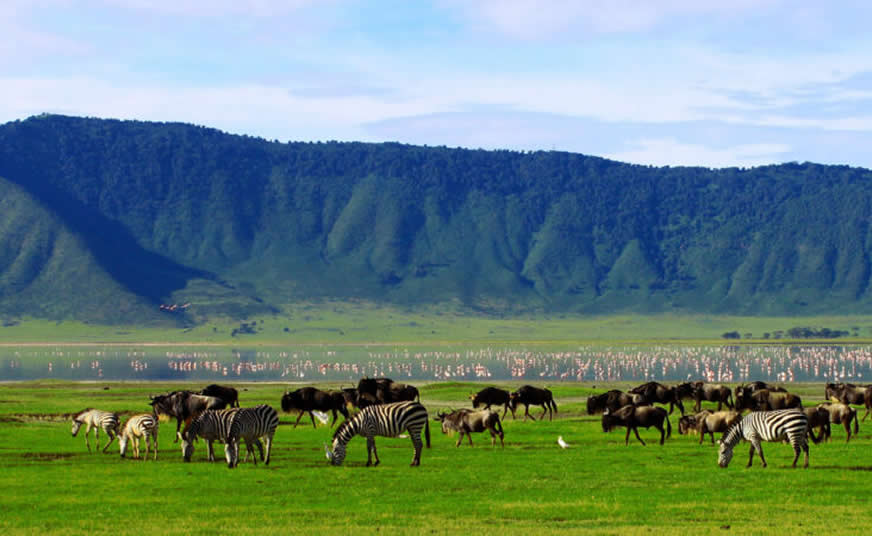 Ngorongoro Crater