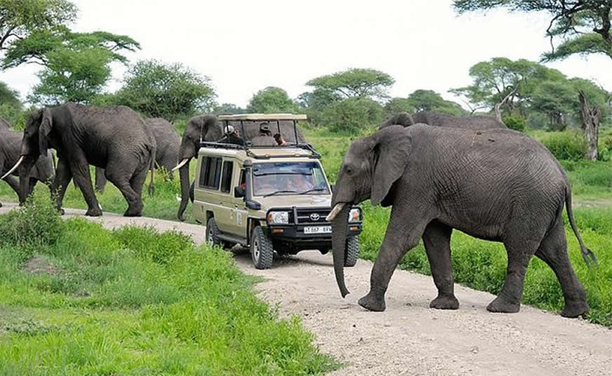 Tarangire National Park