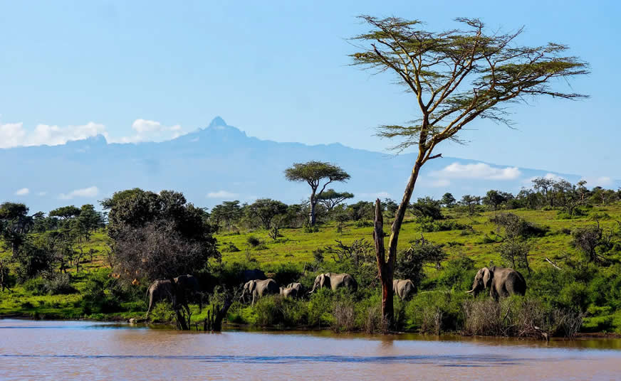 Aberdare and Mount Kenya Trek