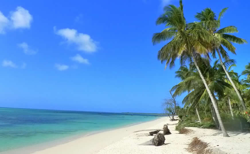 Family Safari and Beach Holiday